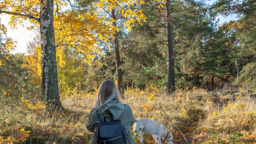 Eva hade aldrig hört talas om Addisons sjukdom, så för henne blev det en chock och hon hade svårt att ta in den lilla information som hon fick.  Foto: Shutterstock